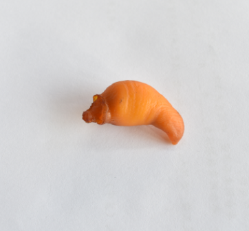 微信图片_20201221171709.png